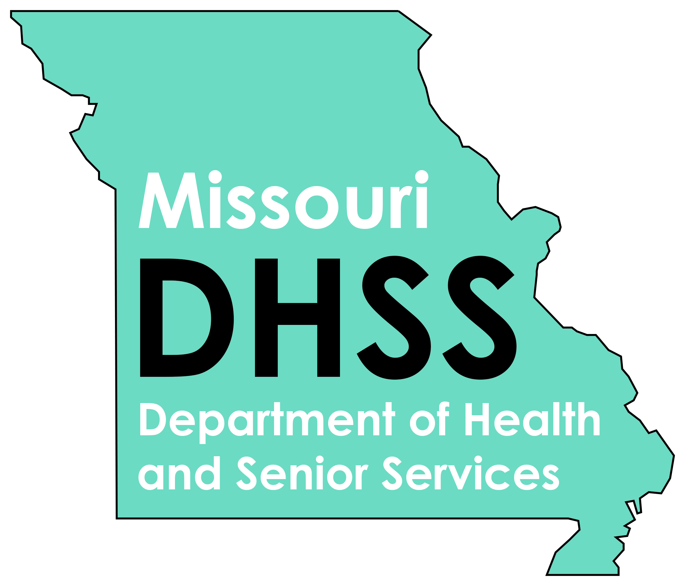 DHSS Logo Final